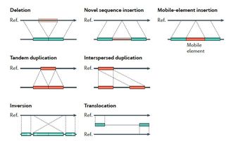 基于全基因组测序数据鉴定结构变异的四大类方法总结