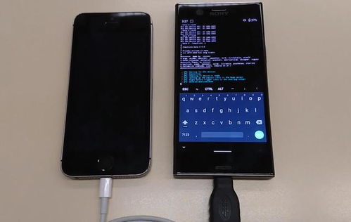 iPhone 7成功运行Android 10