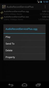 Audio Record Service Plus安卓版下载 手机Audio Record Service Plus官网最新版 