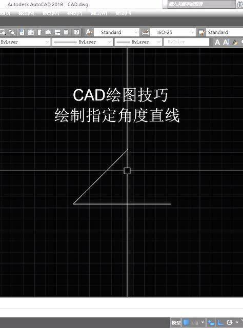 CAD技巧 绘制指定角度的直线使用方法 4 