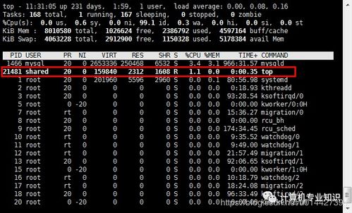 top 命令 Linux系列之学会使用Top命令进行系统监控