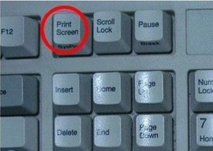 键盘上Print Screen键在哪个位置 
