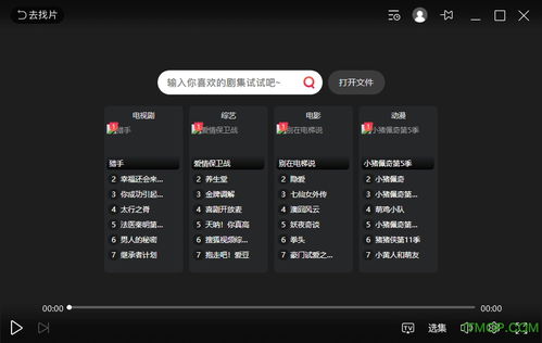 搜狐影音官方下载 搜狐影音播放器电脑版下载 v6.5.1.0 官方正式版 