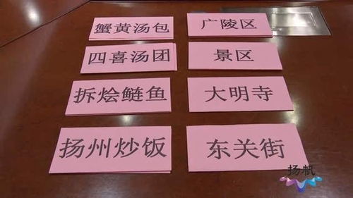 手语也有方言 扬州市组织开展地方手语保护性采集