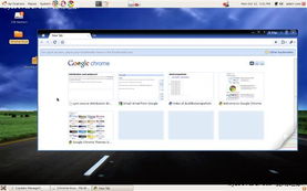 Google操作系统自带浏览器Chrome 4.0.222.6曝光 厂商开发 