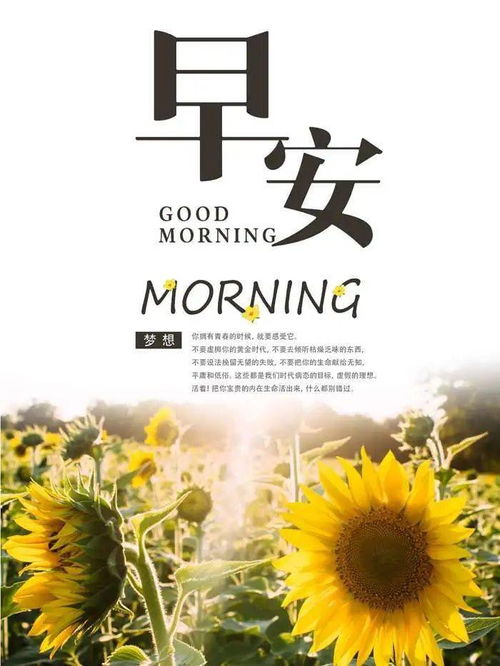 6月15日微信最新早安正能量的句子