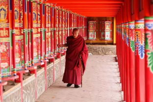 藏族独特的习俗和生活习惯 
