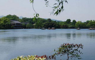 杭州10大最值得一游的景点,首选西湖和雷峰塔,你喜欢这里吗