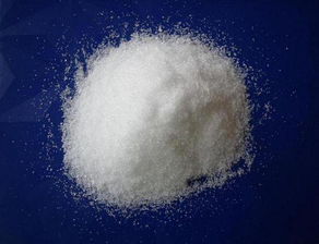 钠与稀盐酸能否反应 生成了什么 