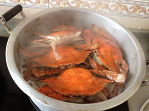 清蒸螃蟹的做法,清蒸螃蟹怎么做好吃,清蒸螃蟹的家常做法 孟瑾 