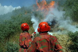 内蒙古大兴安岭火灾扑救 部分火场得到控制 