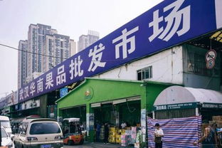 武汉华南水果批发市场在哪 