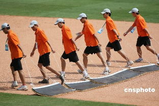 北京奥运会测试赛棒球场上辛勤的志愿者 
