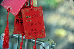 中国人最喜欢的祈福内容是什么,发财 健康 爱情 学业占首位