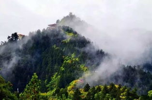 号外 兰州兴隆山入围甘肃省十大最受欢迎的山地旅游景区