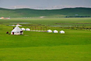 内蒙古十大著名的旅游景点,成吉思汗陵是内蒙古最具特色的旅游景点之一