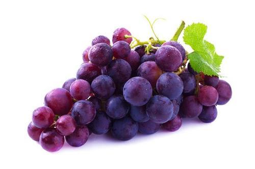 葡萄和提子的区别是什么 哪个更甜