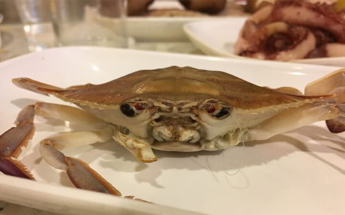 蒸螃蟹是开锅后15分钟吗 怎么挑选螃蟹