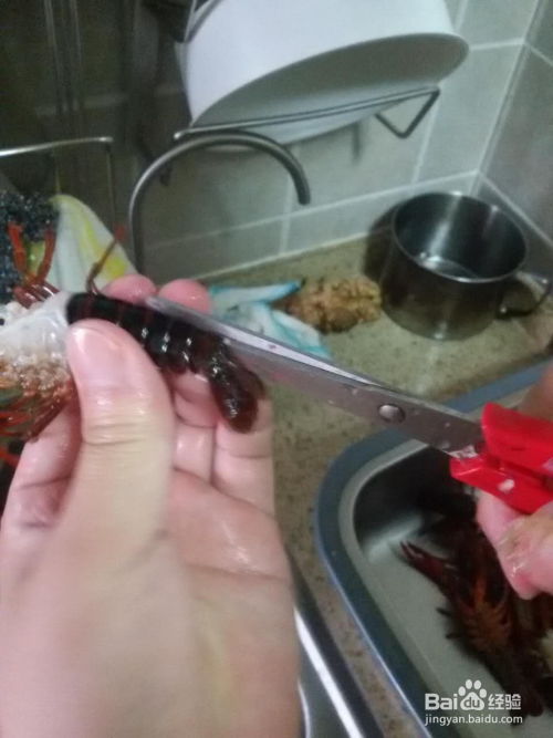 如何清洗小龙虾 