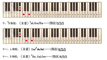自学电子琴是先学五线谱还是电子琴的指法 