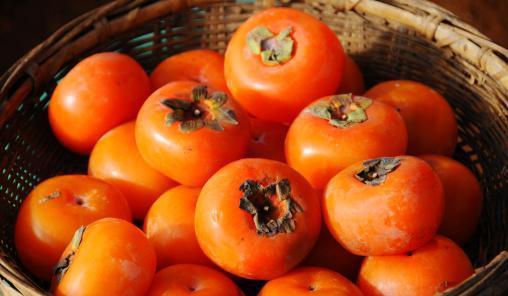 揭柿子的热量 怎么吃柿子才对人体健康有益