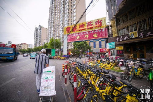 痛惜 上海市中心最大花鸟市场将彻底关闭 再见了,曹家渡
