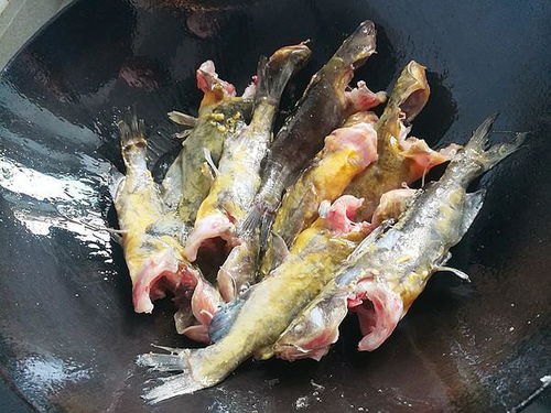 黄辣丁鱼的做法 