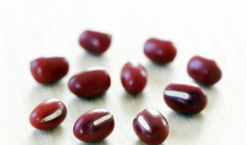 经常食用红豆对身体而言有什么好处 你真的知道吗 看专家的理解