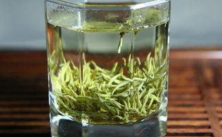 如何自制绿茶减肥 怎么绿茶可以减肥