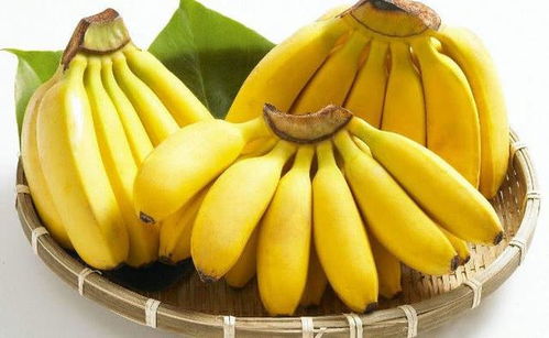 常吃香蕉润肠通便,好处多多,但勿和此物同食,早知早受益