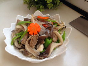 精美肉炒鲜蘑 家常菜谱大全,肉炒鲜蘑怎么做,肉炒鲜蘑如何做 