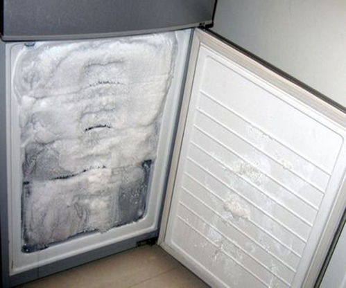 冰箱冷冻室结霜原因有哪些 冰箱冷冻室除霜方法介绍 