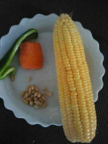 香甜玉米粒的做法大全 香甜玉米粒家常做法 好豆 