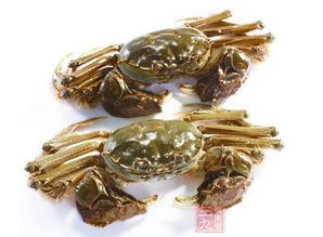 吃螃蟹的禁忌 吃螃蟹需要注意些什么