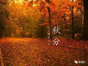 我们农民自己的节日,每年农历秋分设立为中国农民丰收节 
