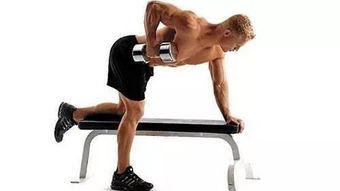 背部肌肉针对性锻炼方法