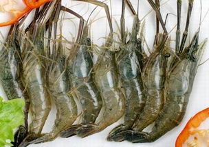 河虾的做法,河虾的适宜人群和禁忌,河虾的营养价值,河虾的食用效果 齐家网 