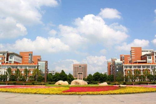 浙江省内知名高校,杭州电子科技大学和杭州师范大学