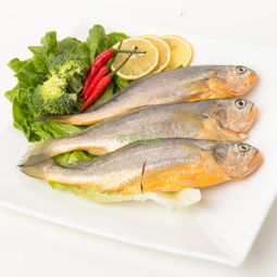 黄花鱼的做法营养价值及功效,黄花鱼怎么做好吃是海鱼吗及价格