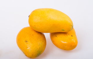 芒果的营养价值及功效,芒果的营养价值有哪些,芒果的营养价值与食用功效 