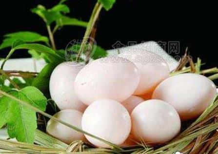 鸽子蛋的营养价值及功效,鸽子蛋的常识总结
