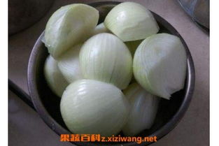 葱图片,葱的功效和作用,葱营养价值 果蔬百科全说z.xiziwang.net 1 