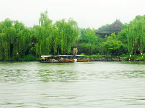 杭州西湖 游记