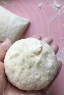 香酥芝麻烧饼的做法 香酥芝麻烧饼怎么做 最初的最美的菜谱 