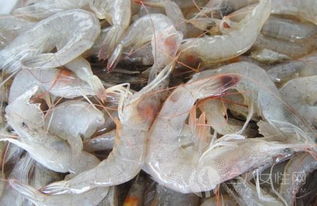 家常小炒河虾怎么做好吃 吃河虾有什么好处 